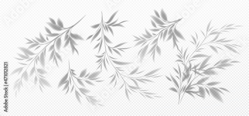 Set of Realistic transparent shadow of a bamboo branch with leaves isolated on a transparent background. Vector illustration