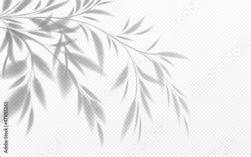 Canvas Print Realistic transparent shadow of a bamboo branch with leaves isolated on a transparent background