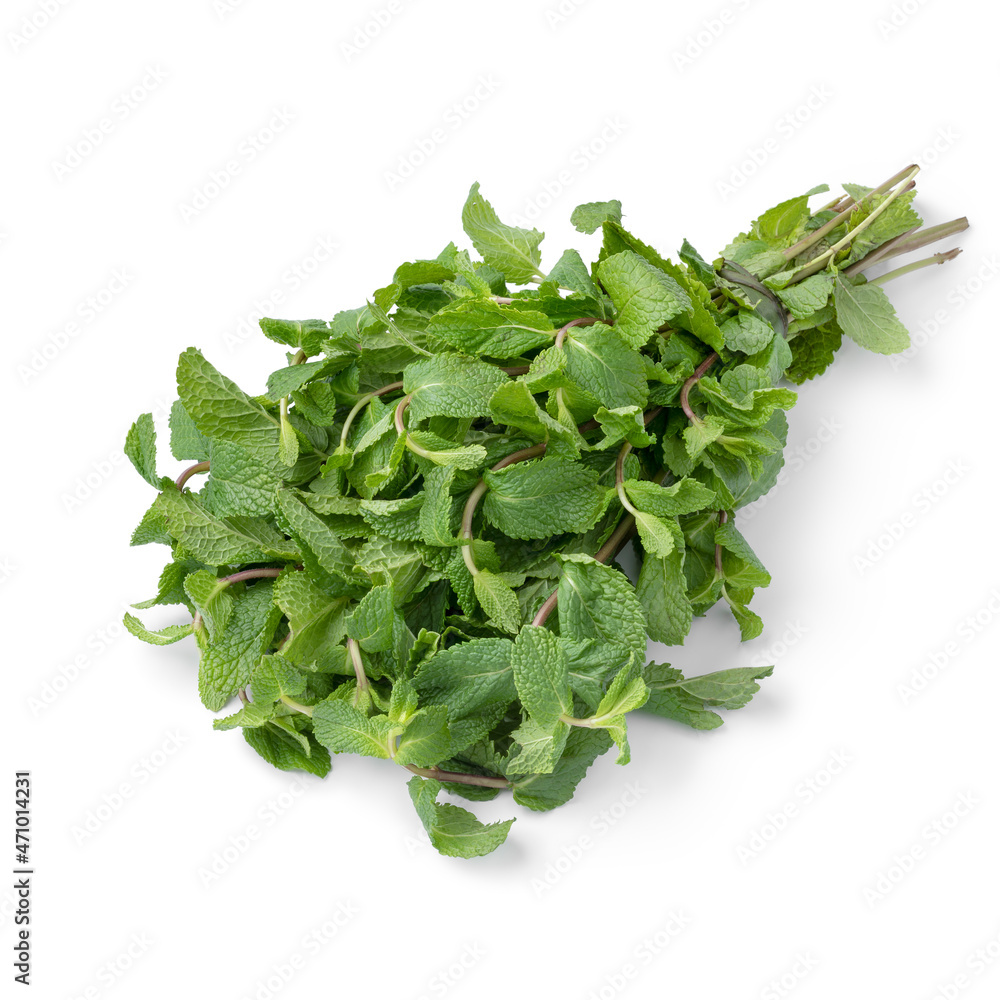 Bunch of fresh green mint on white background Bunch of fresh green mint on white background