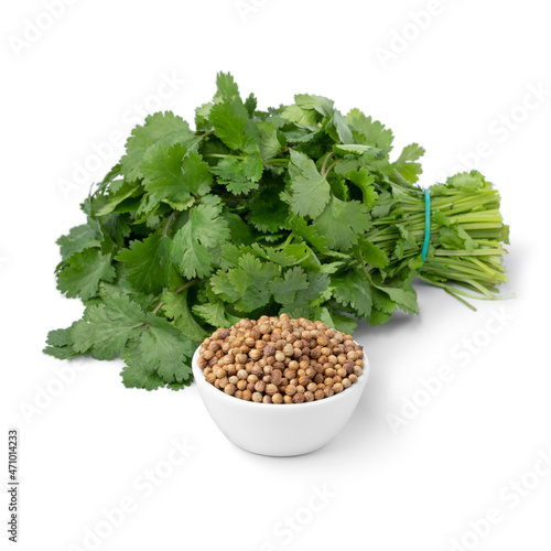 Bunch of fresh green coriander and a bowl coriander seeds on white background
