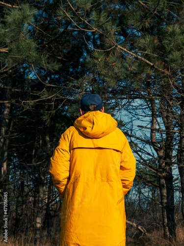 Traveler man in yellow coat walking in fall pine forest sunny weather back view faceless. Authentic male tourist lifestyle. Hipster guy outdoor Solo travel adventure concept Active walking backpacking