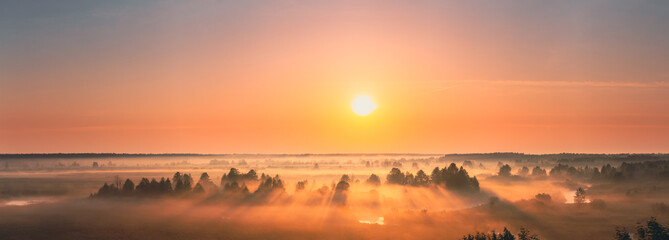 Wandcirkels Bruin Mistige zonsopgang boven bosrivier  © Great Brut Here