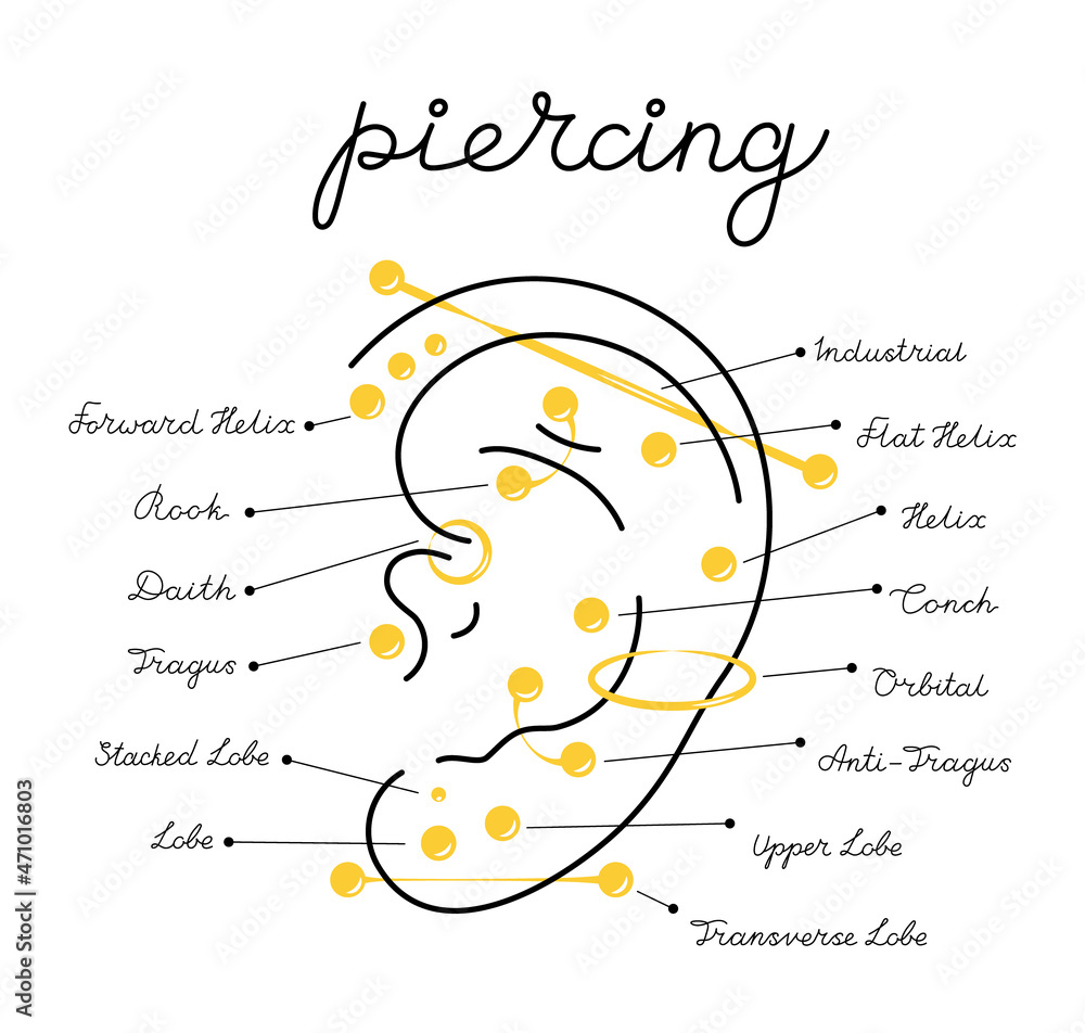 Set icons different types of ear pierced. Vector infographic