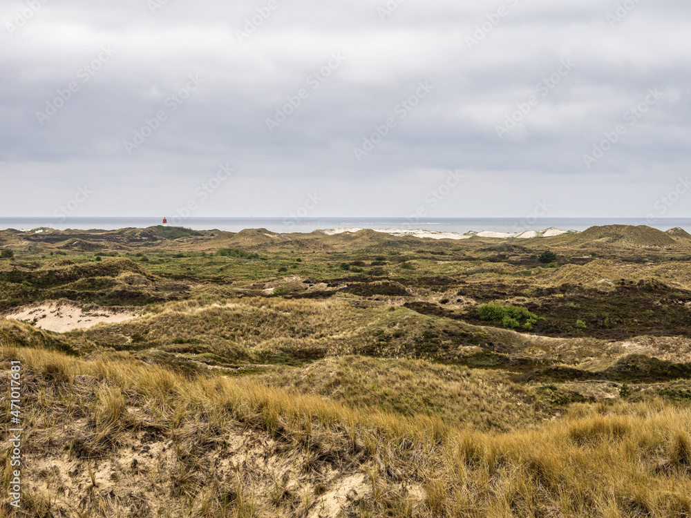 Sand dune landscape overgrown with grass on the island of Amrum, Germany. Siatler or Setzer Dune