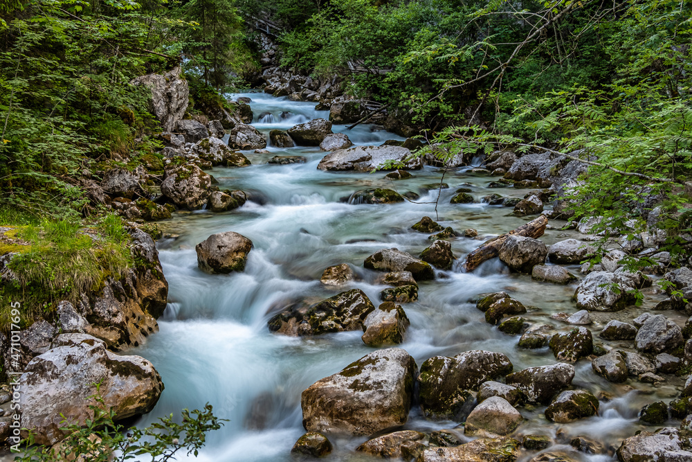 Fototapeta premium Magic Forest Zauberwald at Lake Hintersee with Creek Ramsauer Ache. National Park Berchtesgadener Land, Germany