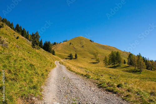 A road on the slopes of Monte Morgenleit near Sauris di Sopra, Udine Province, Friuli-Venezia Giulia, north east Italy. Late September.