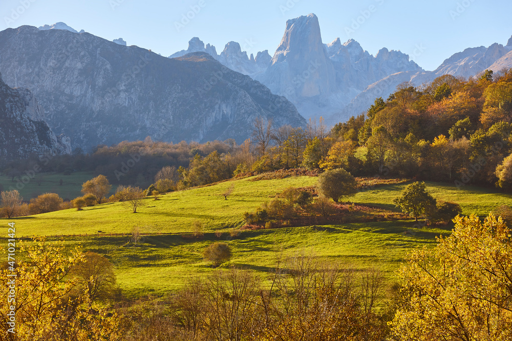 Fall landscape in Asturias. Naranjo de Bulnes. Picu Urriellu. Spain
