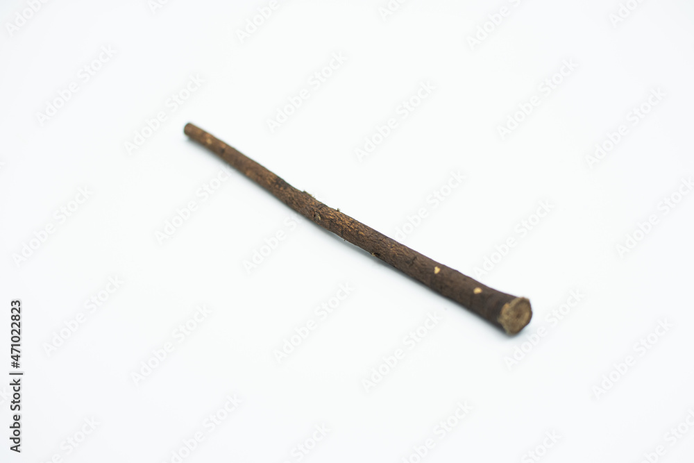 The miswak is a teeth cleaning twig made from the Salvadora persica tree. The miswak is a teeth cleaning twig made from the Salvadora persica tree.