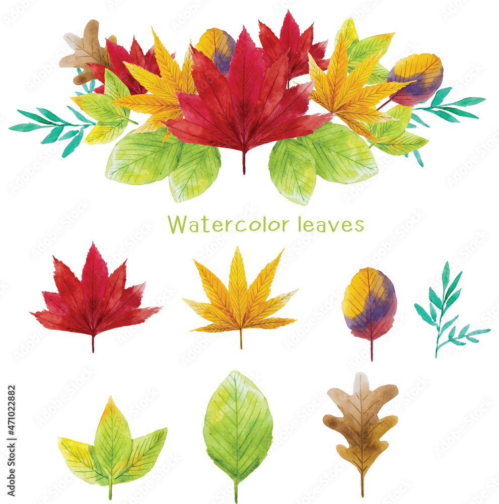 Watercolor vector background,autumn leaves watercolor