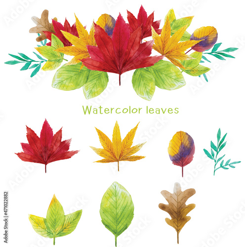 Watercolor vector background,autumn leaves watercolor