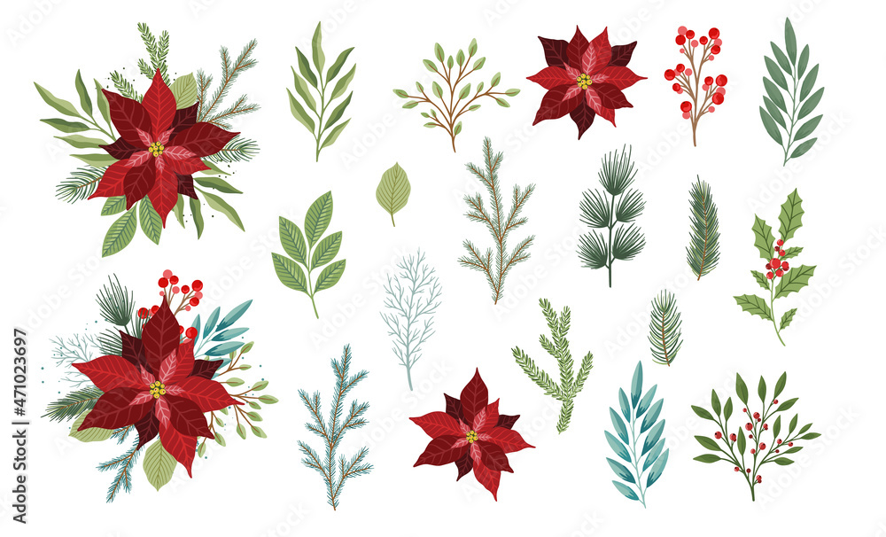 Set of winter plants, flowers and berries. Can be used for Christmas design.