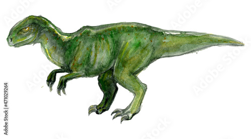Watercolor drawing of a predatory tyrannosaurus dinosaur  isolated on white background. Hand drawn