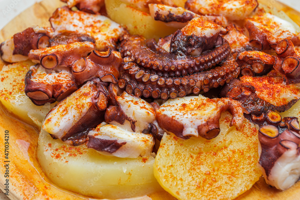 Close-up of fried octopus and boiled potatoes with paprika on plate in a restaurant