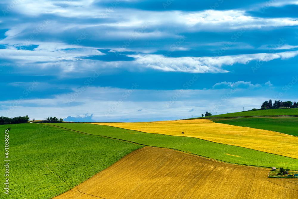 Rural landscape near Ostra Vetere and Cingoli, Marche, Italy