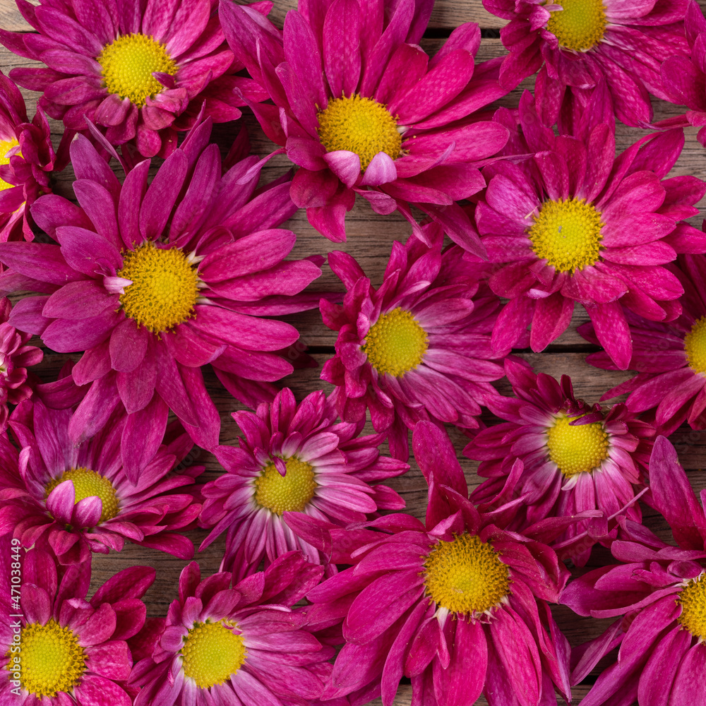 Purple and yellow flowers over wooden table. Flower backdrop Purple and yellow flowers over wooden table. Flower backdrop