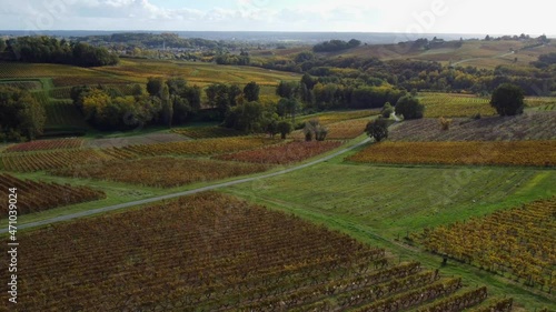 Aerial view Bordeaux Vineyard at sunrise,film by drone in autumn, Entre deux mers, Semens, Verdelais. High quality 4k footage photo