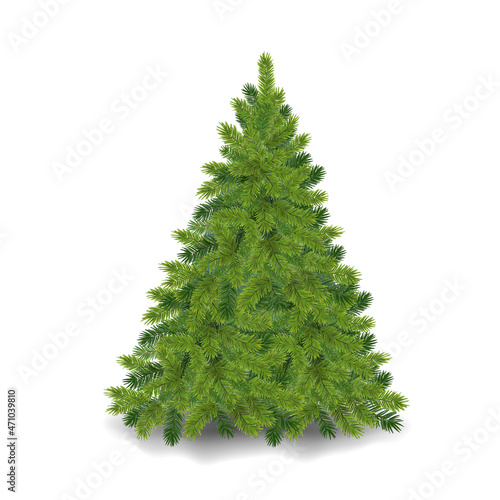 Realistic christmas tree Fluffy green pine tree