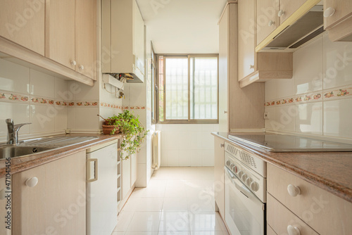 Fototapeta Naklejka Na Ścianę i Meble -  Large kitchen with nooks, plants and red granite simile countertop with window and lots of light