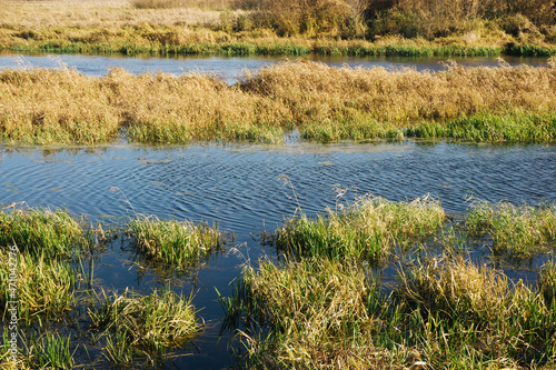 River landscape. Wetland background. Autumn outdoor sunny day. Wet swamp ground landscape. National Park scenic view. Podlasie region in Poland. Biebrzanski National Park.