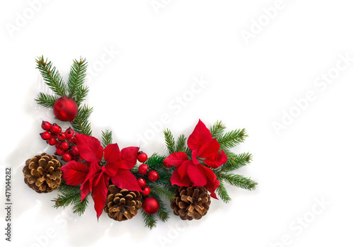 Christmas decoration. Frame of flowers of red poinsettia, branch christmas tree, red berries and cones on white background with space for text. Top view, flat lay