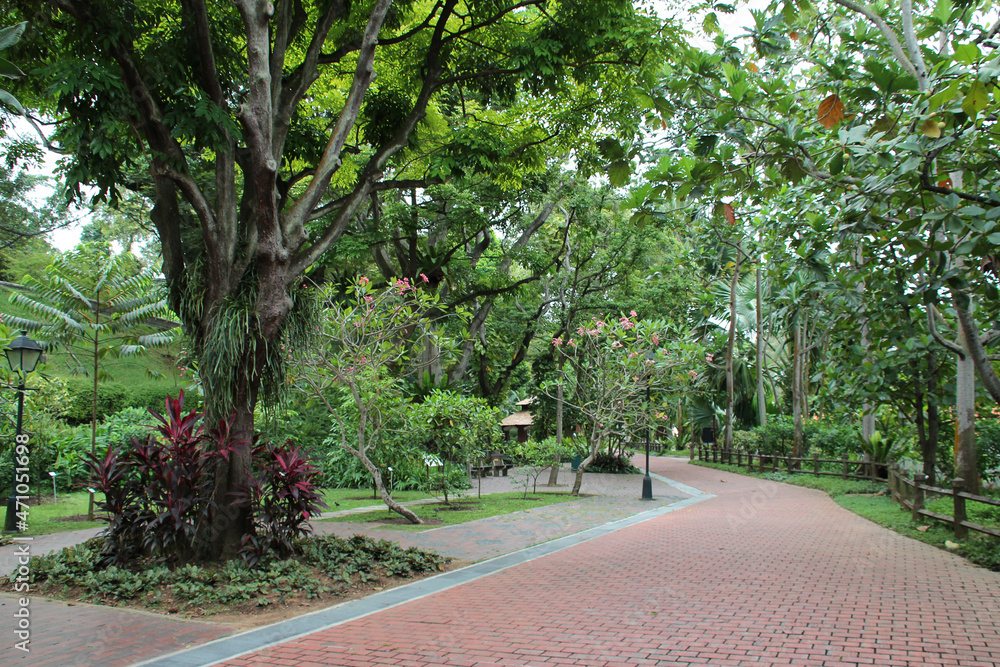 fort canning park in singapore 