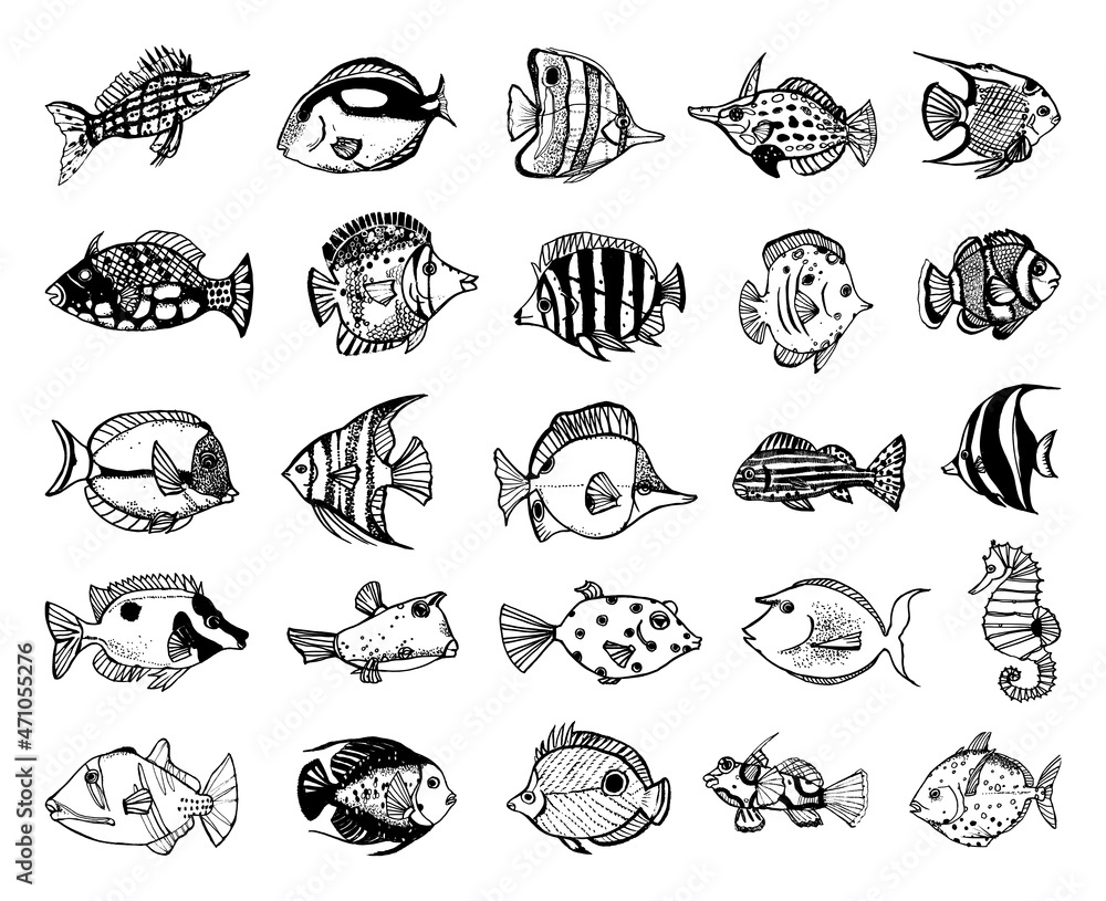 Collection of monochrome illustrations of fishes in sketch style. Hand drawings in art ink style. Black and white graphics.
