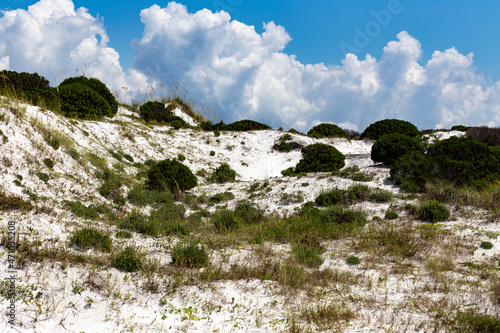 Sand dunes at Destin, Florida