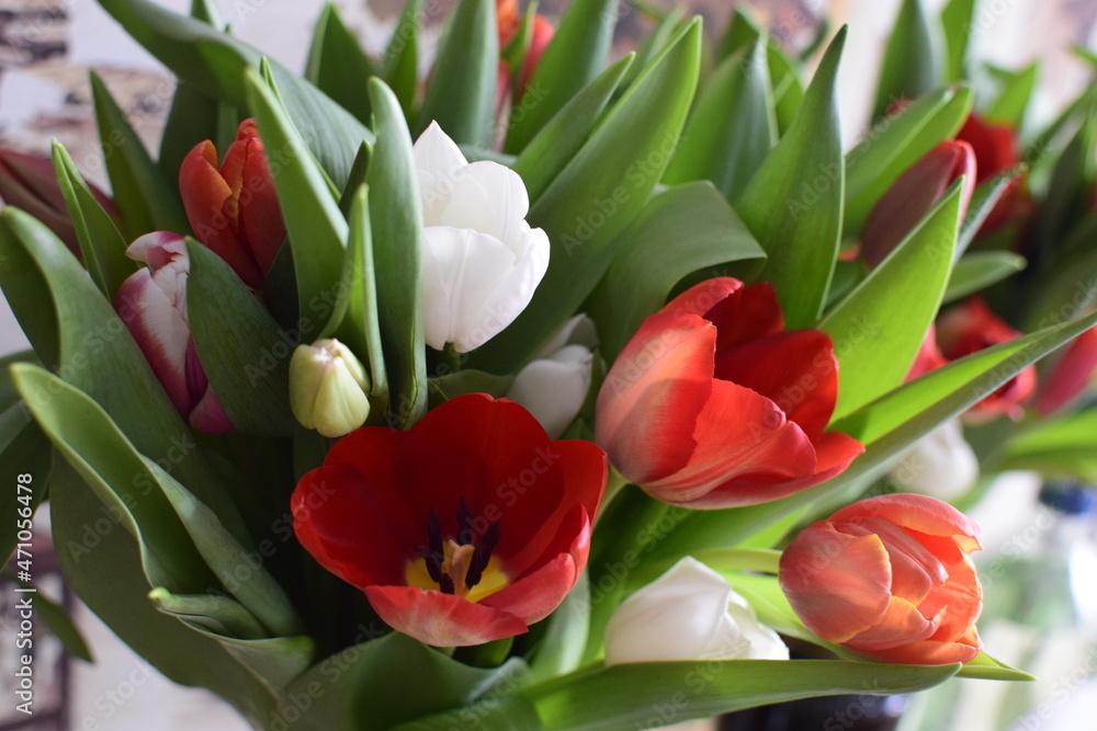 Naklejka premium Bouquet of tulips