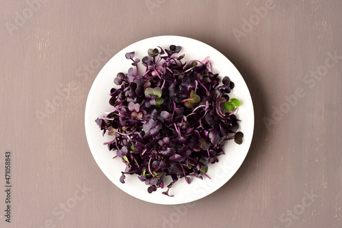 Radish microgreens on a dark background.