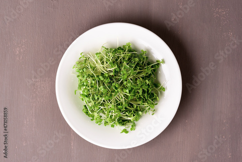 Broccoli microgreens on a dark background.