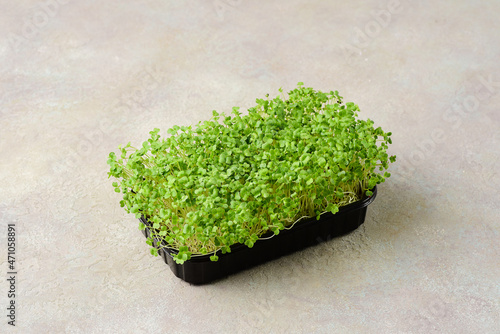 Broccoli microgreens on a dark background.
