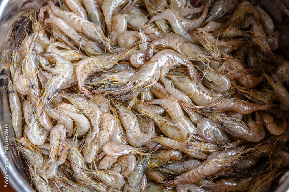 close up fresh shrimps from top view ready for sale at the market, shrimps background with copy space close up fresh shrimps from top view ready for sale at the market, shrimps background with copy space