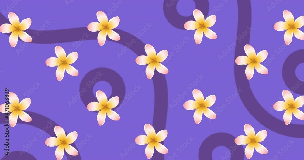 Animation of rotating pink and yellow flowers with purple curves and circles on purple background Animation of rotating pink and yellow flowers with purple curves and circles on purple background