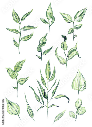 Nature designer watercolor elements set collection of green forest leaves. Art foliage natural leaves herbs. Decorative beauty elegant illustration for design. Set of leaves and branches