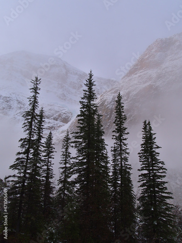 Low angle view of majestic Mount Edith Cavell on foggy morning in autumn season with the silhouettes of trees in front in Jasper National Park, Canada.
