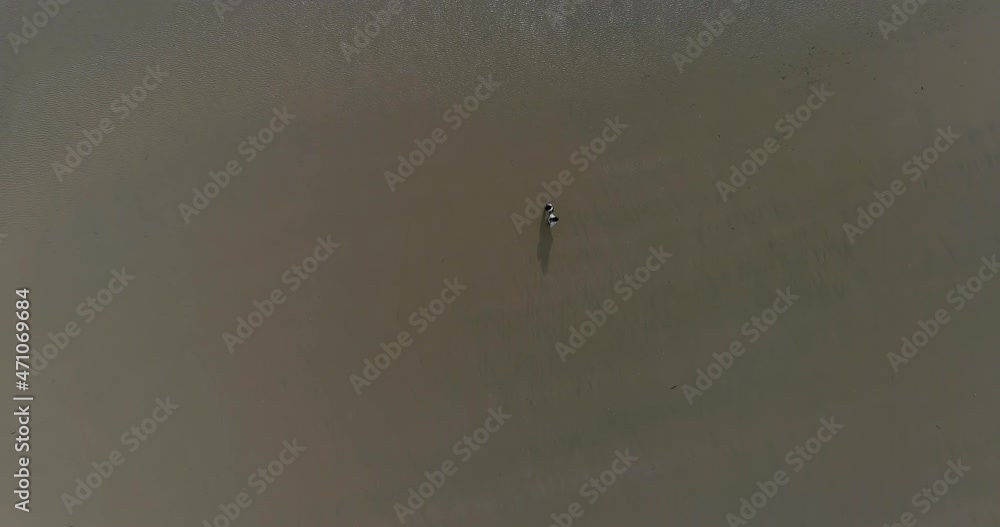 couple walking on the beach seen from above couple walking on the beach seen from above