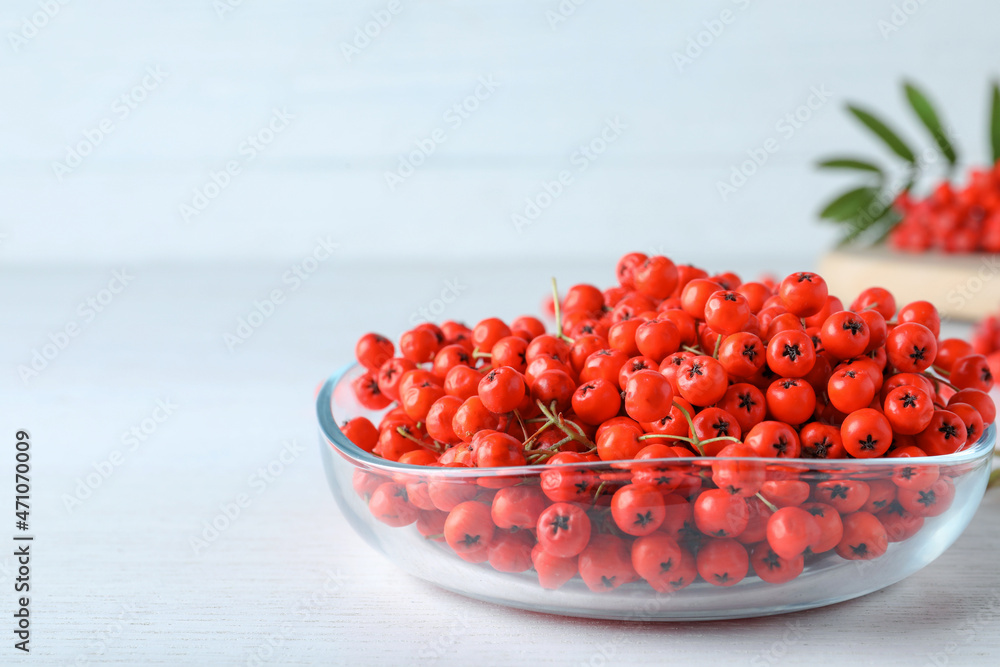 Fresh ripe rowan berries in glass bowl on white wooden table, space for text