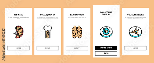 Immune System Disease And Treat Onboarding Mobile App Page Screen Vector Thymus Of Immune And Antibodies, Active And Passive Immunity, Autoimmunity And Macrophage Blood Cell. Health Illustrations