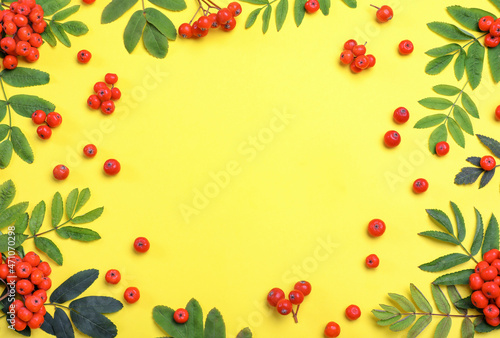 Frame of fresh ripe rowan berries and green leaves on yellow background, flat lay. Space for text