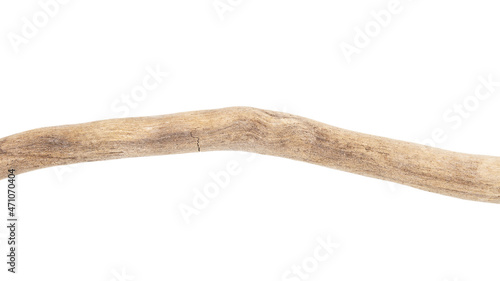 Part of driftwood isolated on white