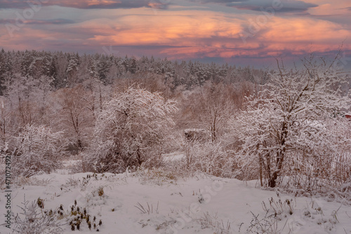 Wallpaper Mural Colorful winter sunset, all the trees are covered in snow, beautiful sky with clouds, more snow Torontodigital.ca