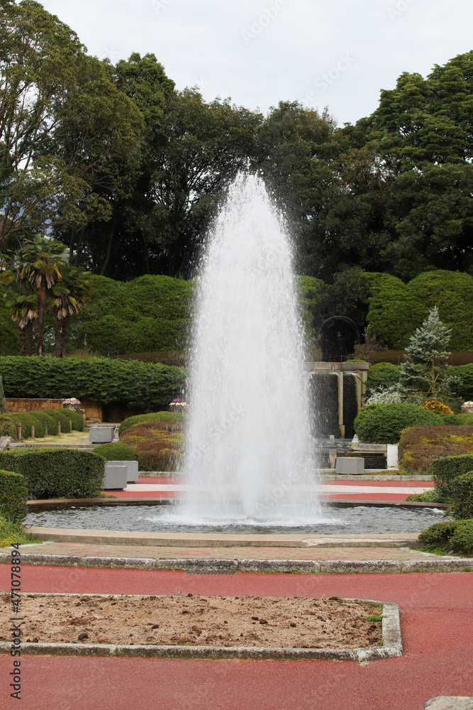植物園の噴水