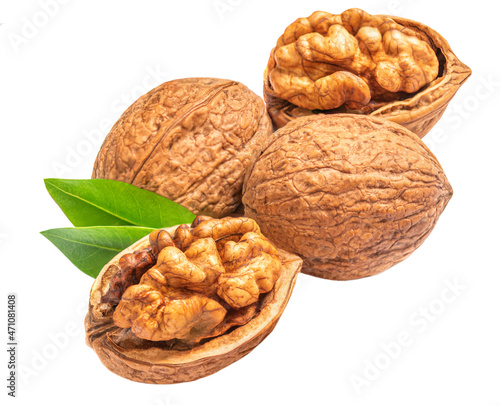 Walnut Isolated. Walnut kernel Nut with green leaves on white background. .