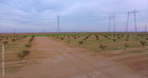 Aerial of Farming Almond pistachio trees and power lines photo