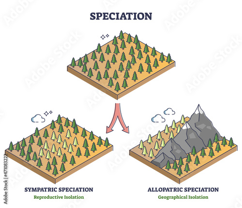 Speciation process with sympatric and allopatric division outline diagram. Labeled educational reproductive and geographical isolation examples with forest trees evolution models vector illustration.