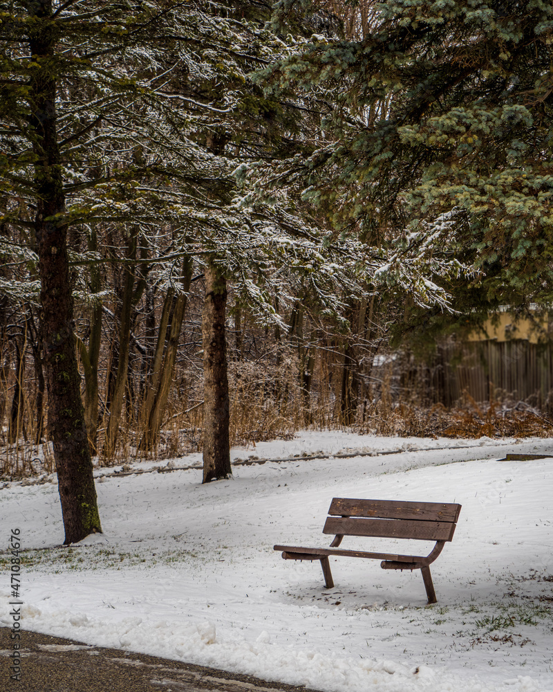 empty bench in snow-covered park