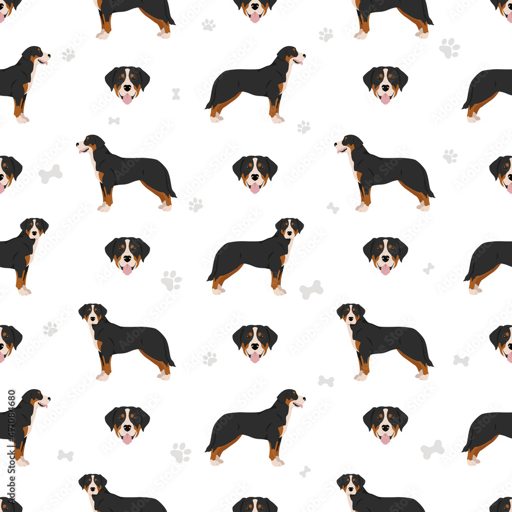 Greater Swiss mountain dog seamless pattern. Different poses, coat colors set