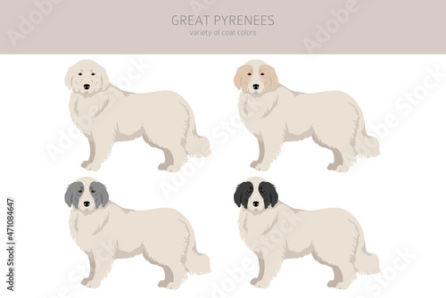 Great Pyrenees clipart. Different poses  coat colors set