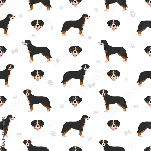 Greater Swiss mountain dog seamless pattern. Different poses  coat colors set