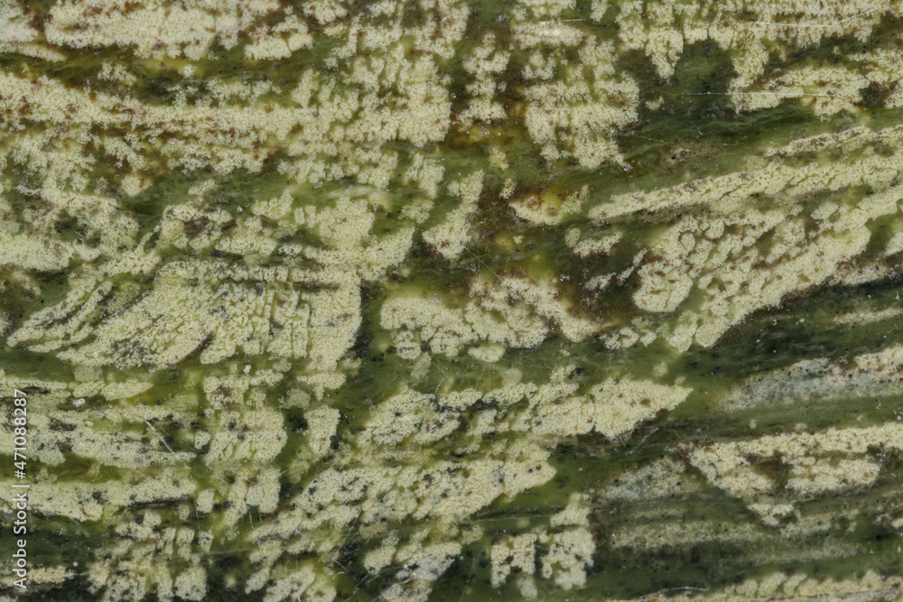 Macro datolite scarn mineral stone on a black background Macro datolite scarn mineral stone on a black background